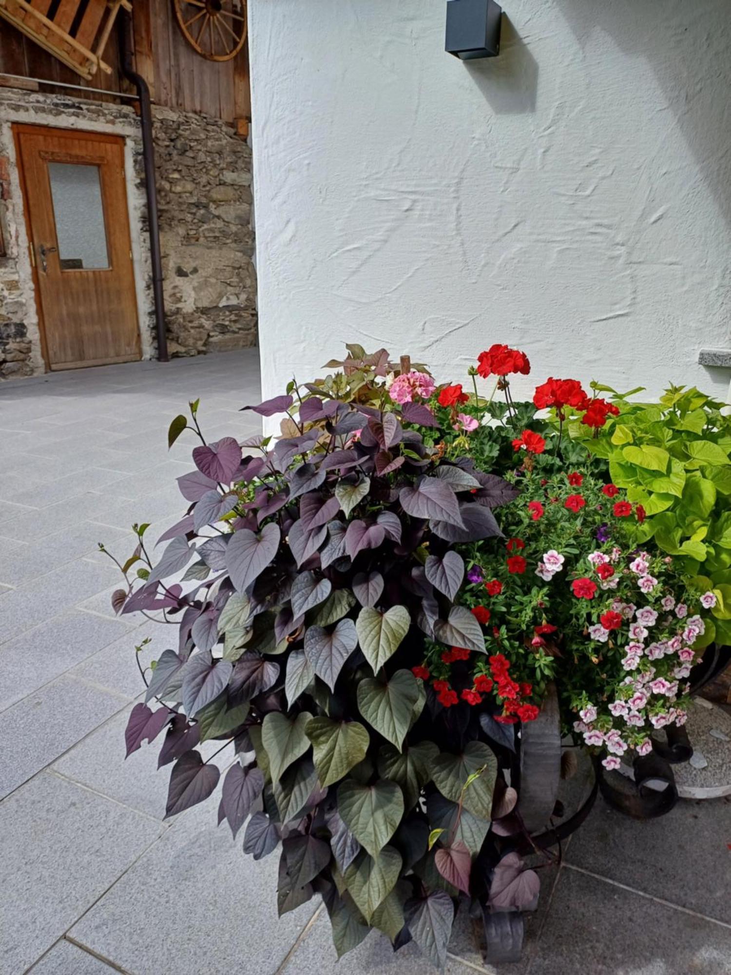 Landhaus Eberler Mayrhofen Luaran gambar
